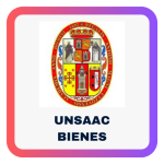 unsaac bienes